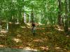 Mountian Biking Rosaryville