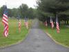 Flags lining a driveway